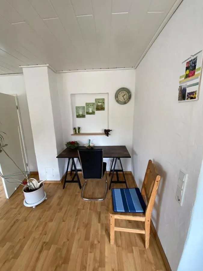 Ferienwohnung-Gasthaus Zum Ross Erlenbach am Main Apartment