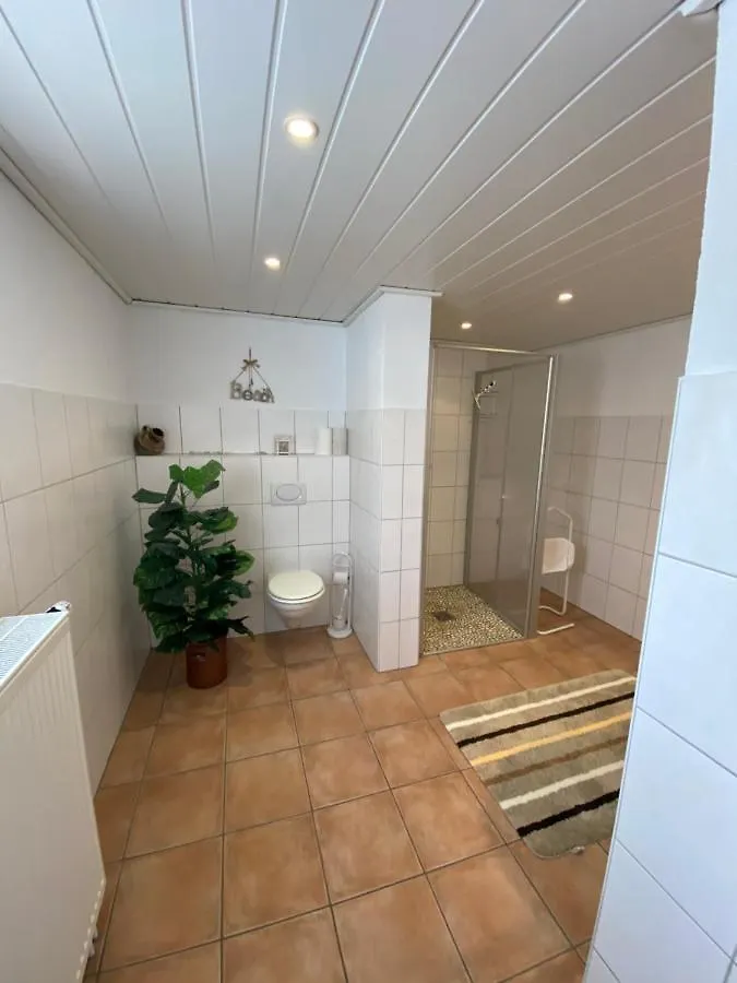 Ferienwohnung-Gasthaus Zum Ross Erlenbach am Main Apartment