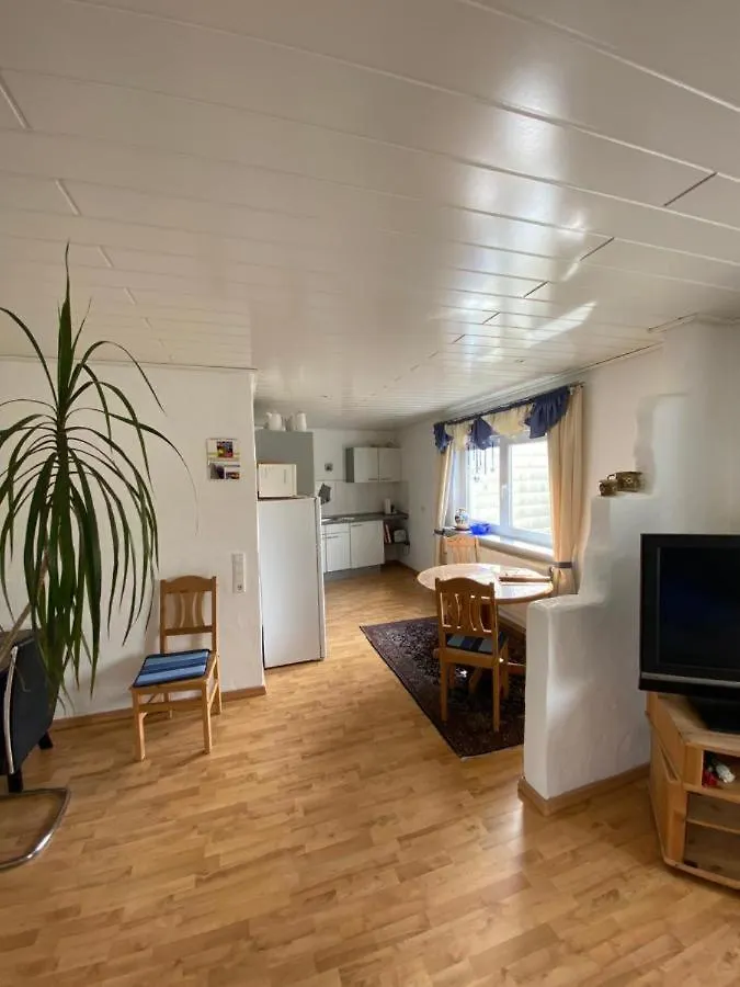 Ferienwohnung-Gasthaus Zum Ross Erlenbach am Main