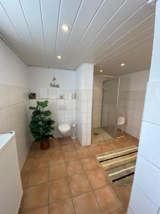 Apartment Ferienwohnung-Gasthaus Zum Ross Erlenbach am Main